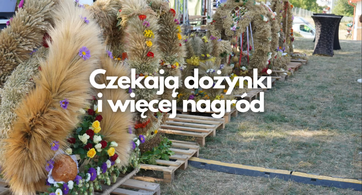 Imprezy, Dożynki dodatkowymi pieniędzmi nagrody Pomaga sponsor - zdjęcie, fotografia