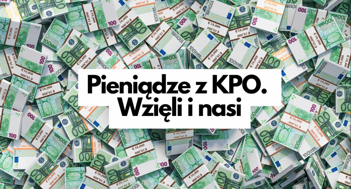 Zdjęcie: