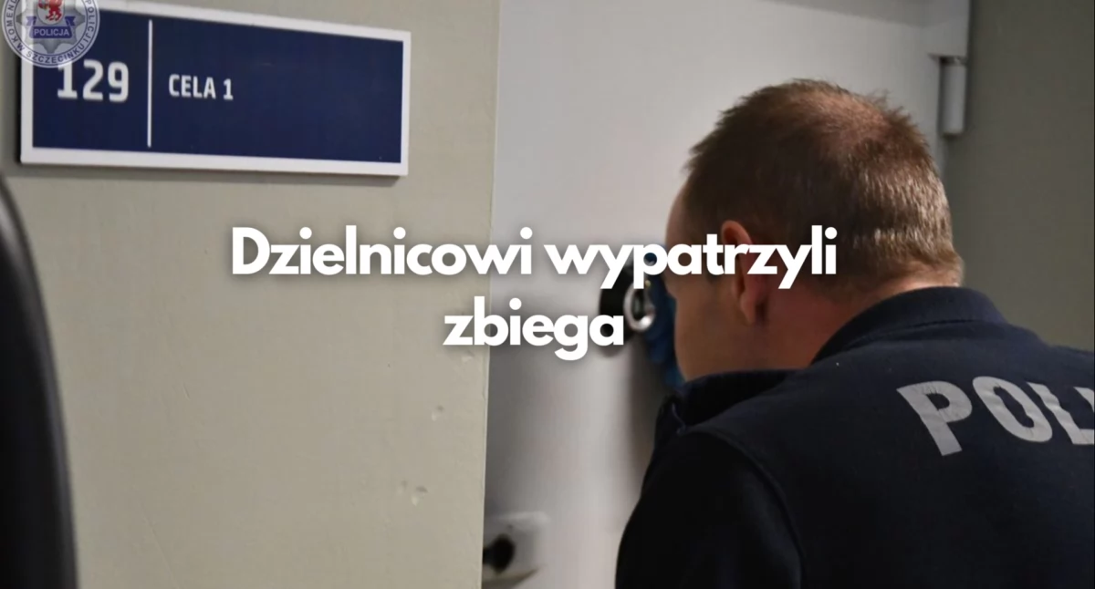 Policja, gończy listopada dogonił Teraz więzieniu - zdjęcie, fotografia