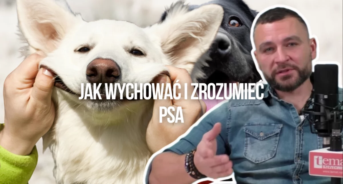 wywiady Tematu, „Nie bierz ładny” Trener Szczecinka wyjaśnia robisz - zdjęcie, fotografia