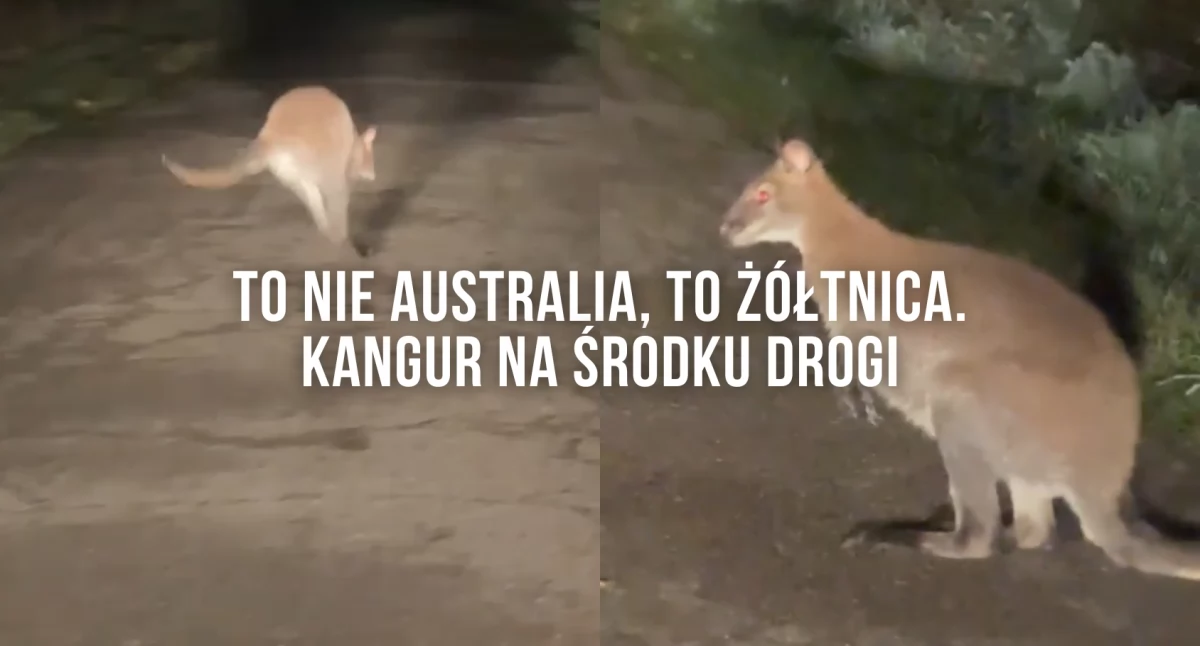 Zdjęcie: Pan Kamil - dziękujemy!