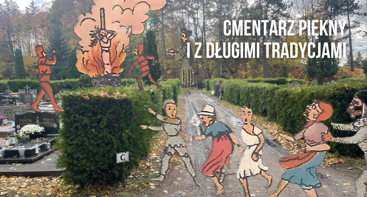 Historia, Cmentarz stosach Mroczna część historii szczecineckiej nekropolii - zdjęcie, fotografia