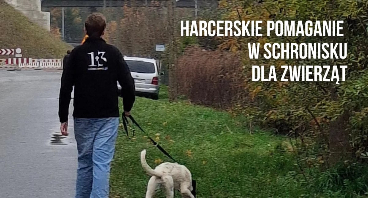 Aktualności, Schronisko zwierząt Szczecinku pomóc warto wiedzieć Informują harcerze - zdjęcie, fotografia