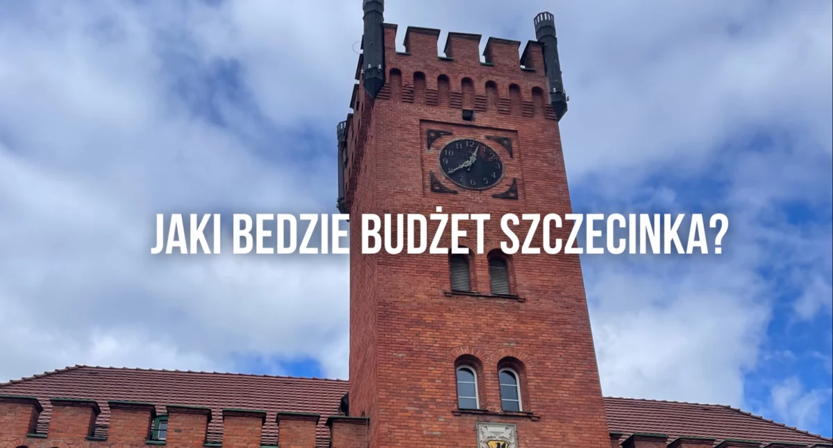polityka, „Małpki” bardziej zyskowne mandaty Straży Miejskiej budżetu miasta - zdjęcie, fotografia