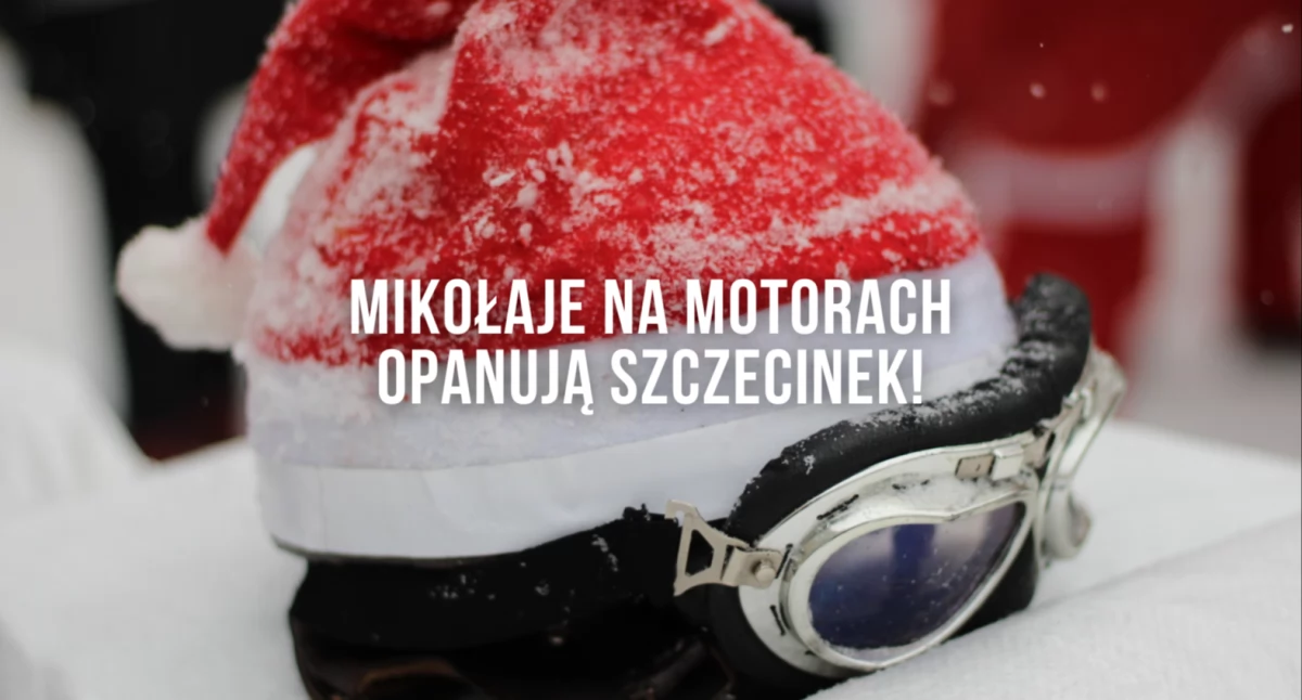 Zdjęcie: P. Witczuk