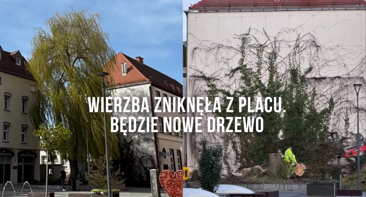 Zdjęcie: P. Witczuk