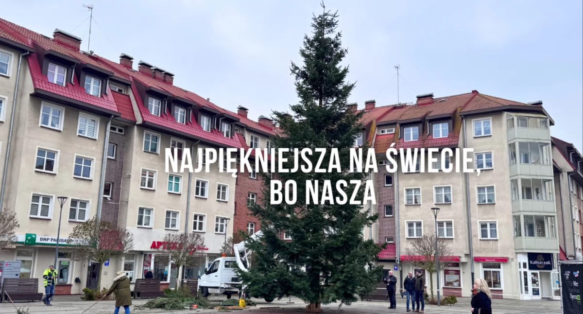 Zdjęcie: P. Witczuk