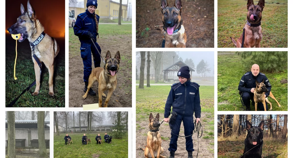 Zdjęcie: Zachodniopomorska Policja