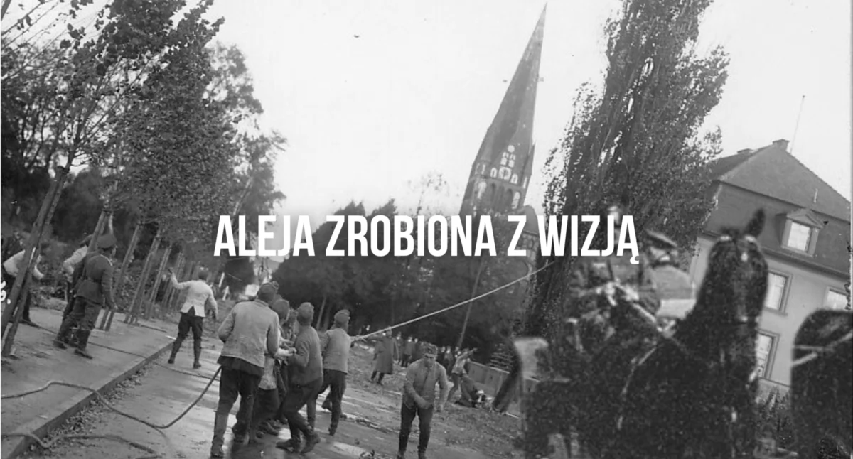 Muzeum, Aleja wizją - zdjęcie, fotografia