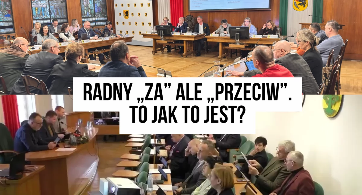 polityka, Dlaczego radni głosują inaczej myślą „Sama wiem” - zdjęcie, fotografia