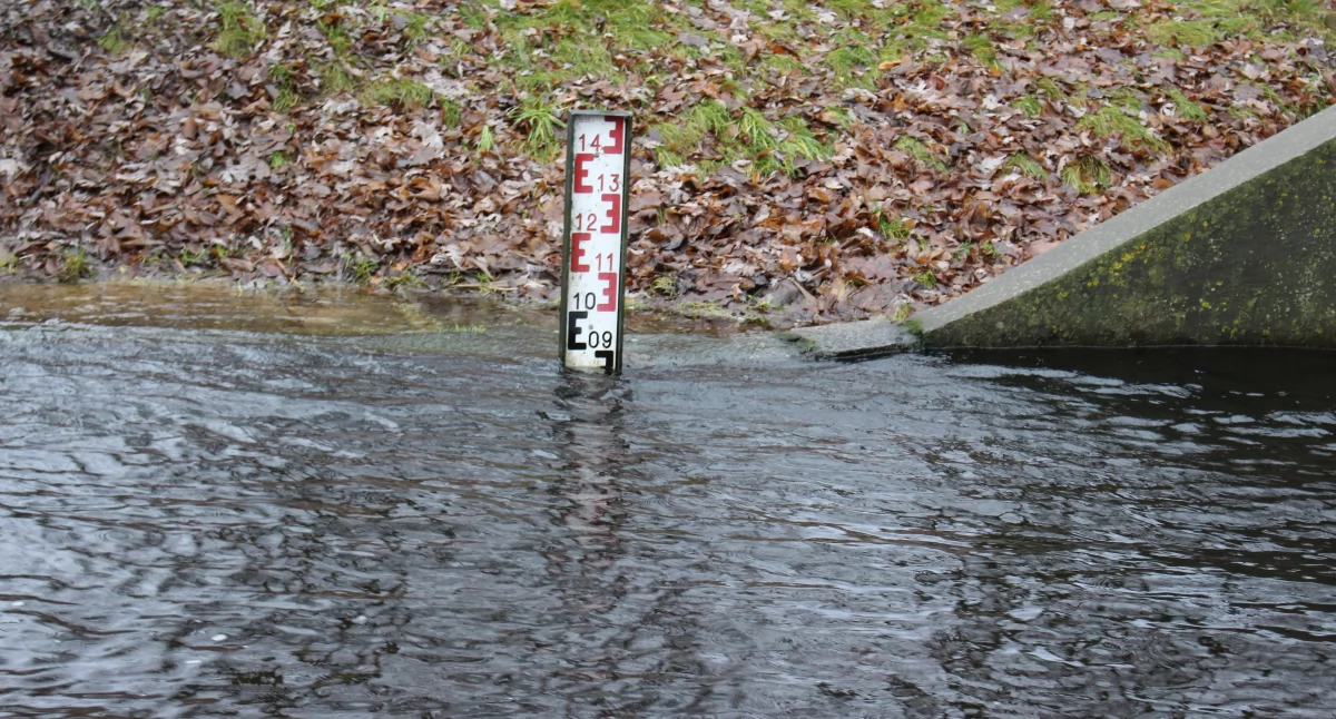 Historia, Niezdobna płynęła tyłu - zdjęcie, fotografia