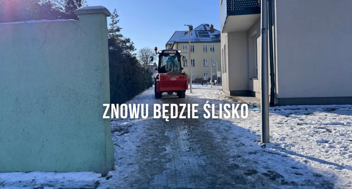 Zdjęcie: P. Witczuk