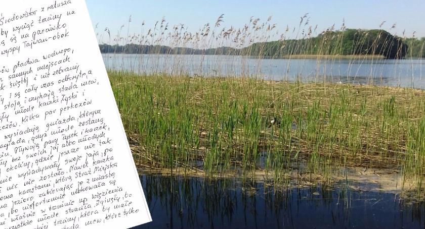 Wycięte trzcinowisko na Trzesiecku
