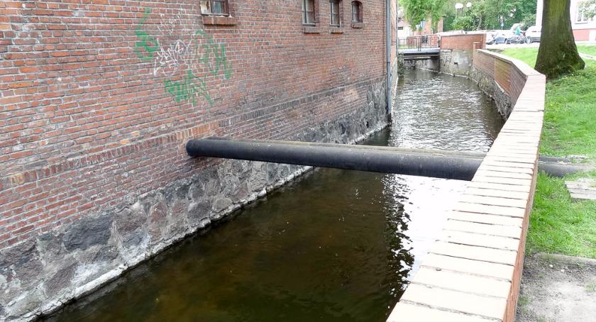 Śnięte ryby pojawiły się w Niezdobnej na wysokości spichlerza