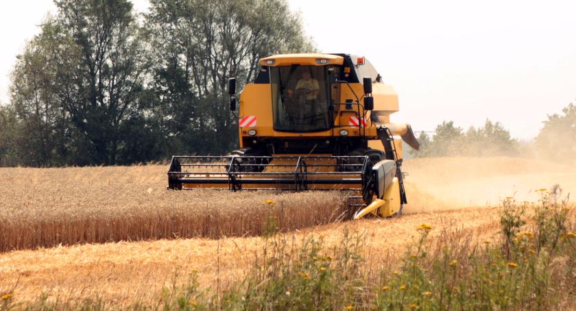 Klęska na polach w Gminie Szczecinek. Są duże straty w uprawach