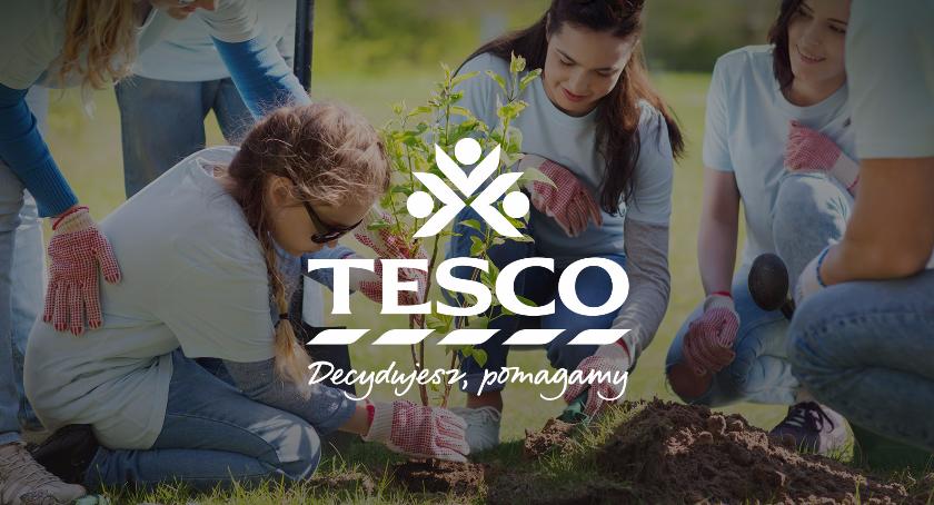 SzLOT, Grom i Atut rywalizują o dofinansowanie Tesco