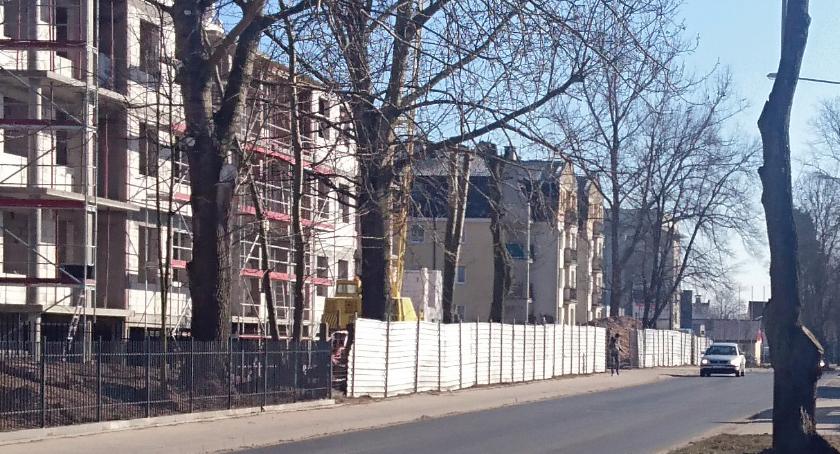 Gałęzie niebezpiecznie zwisają nad ulicą
