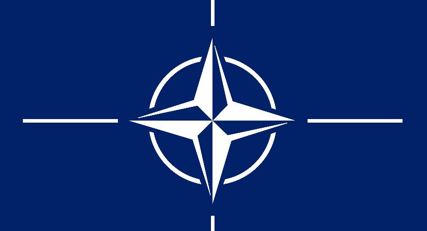 Wojska NATO w Wilczych Laskach, Dzikach i Turowie