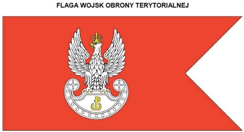 Wojska Obrony Terytorialnej jak Armia Krajowa? Lubczyk: To budzi słuszne kontrowersje