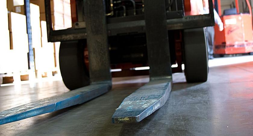 Analityk, kelner, kierowca wózka, kucharz, mistrz, opiekun medyczny, pracownik restauracji