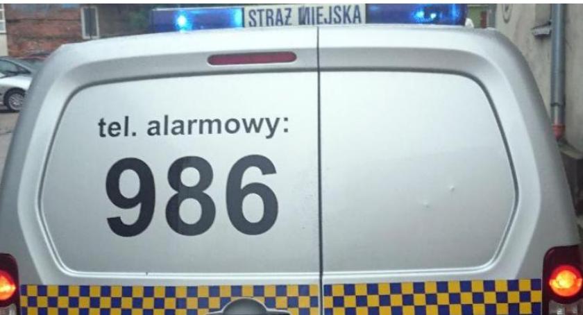 Ktoś w Szczecinku zostawił dwa psy w samochodzie. Na szczęście właściciel szybko się znalazł