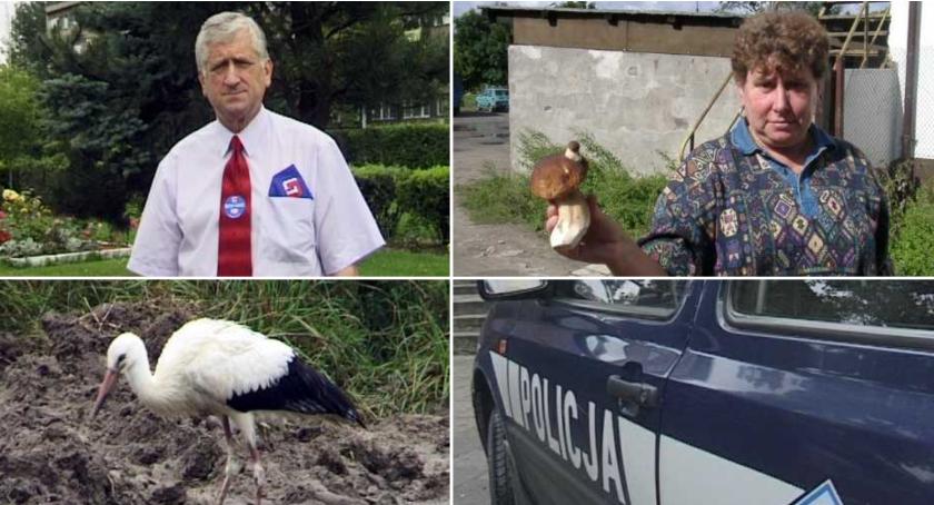 Maszyna Czasu. Szczecinek w Internecie, rok 2001