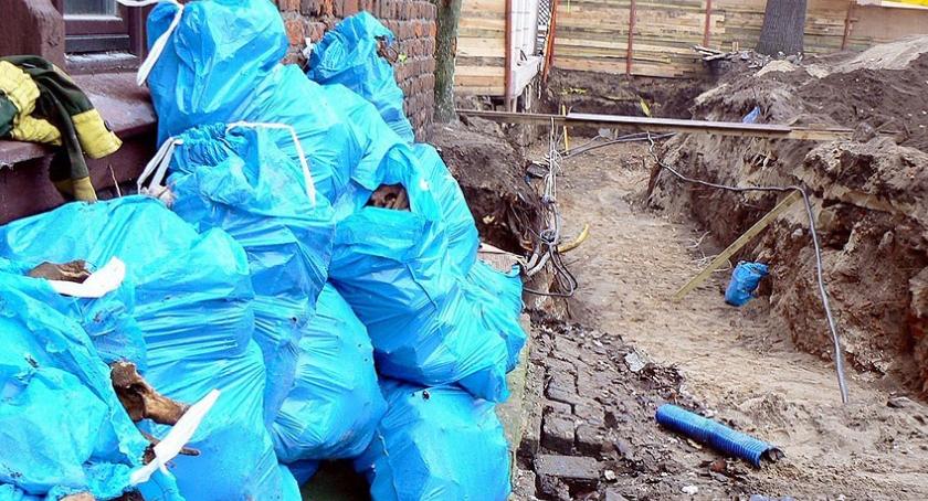 Kości pod ziemią jest wiele. Szczecineckie nekropolie