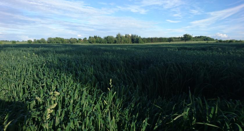 Remonty dróg dojazdowych do gruntów rolnych