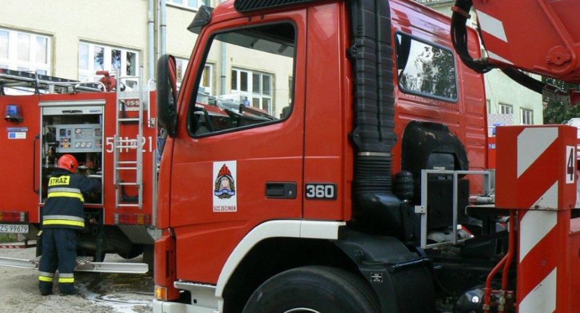 Walka z osami, lis na klatce schodowej. Tydzień w pracy strażaków