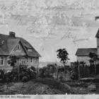 zdjęcie nr 8