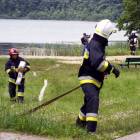 Fotka nr 5 z 10