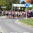 zdjęcie nr 208
