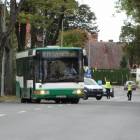 Fotka nr 2 z 13