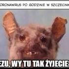 zdjęcie nr 11