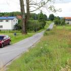 zdjęcie nr 8