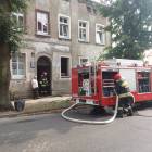 Fotka nr 5 z 6