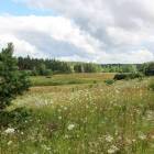 Fotka nr 1 z 8