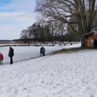 zdjęcie nr 14
