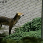 Fotka nr 4 z 27