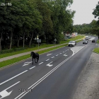 zdjęcie nr 14