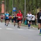 zdjęcie nr 99