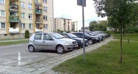 Fotka nr 5 z 11