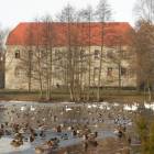 zdjęcie nr 105