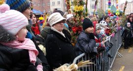 zdjęcie nr 42