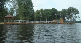 zdjęcie nr 51