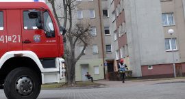 Fotka nr 1 z 3