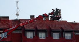 zdjęcie nr 7