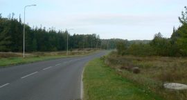 zdjęcie nr 12