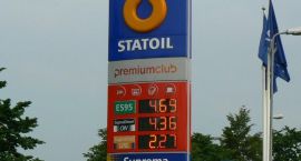 zdjęcie nr 7