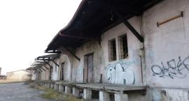 zdjęcie nr 7